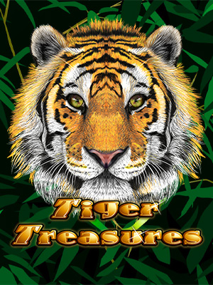 Tiger Treasures - RTG GAME - 18_12